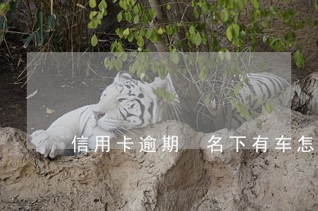 信用卡逾期 名下有车怎么办